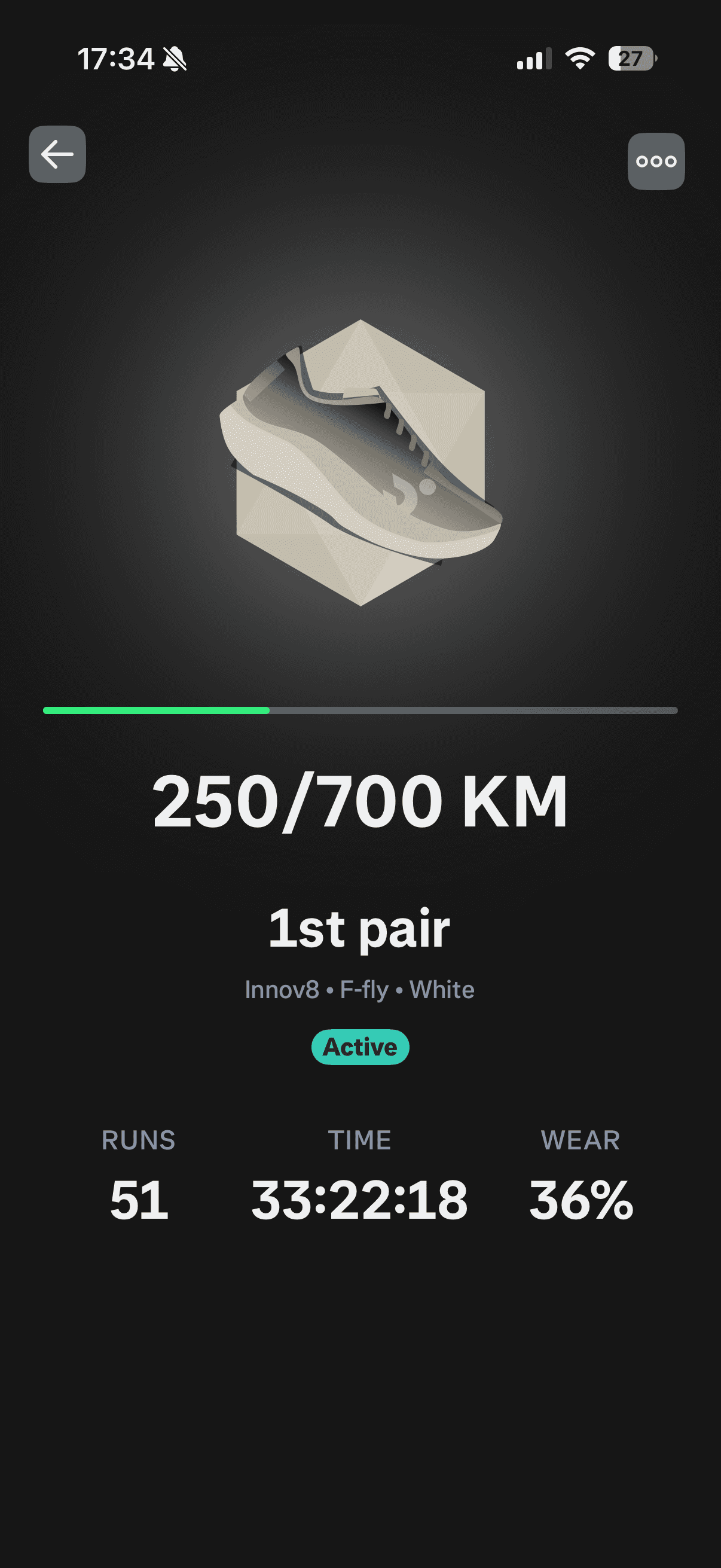 Total distance tracked in Runna: 250 km so far with my current shoes, 51 runs, 33+ hours of running.